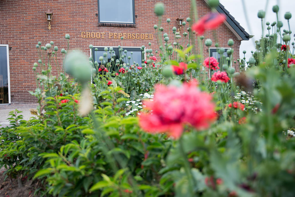 B&B Groot Pepersgoed Hoevelaken Exterior foto